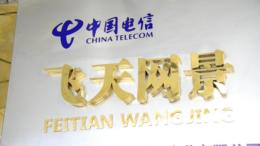 魏东仪,公司经营范围包括:开发,计算机及辅助设备的销售
